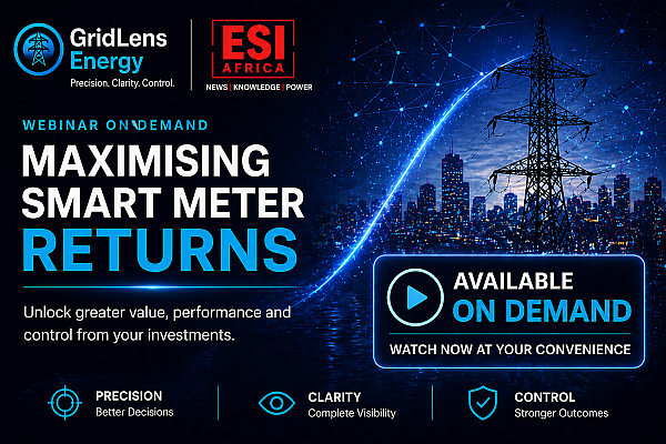Expert insight into what municipal smart metering programme success depends on