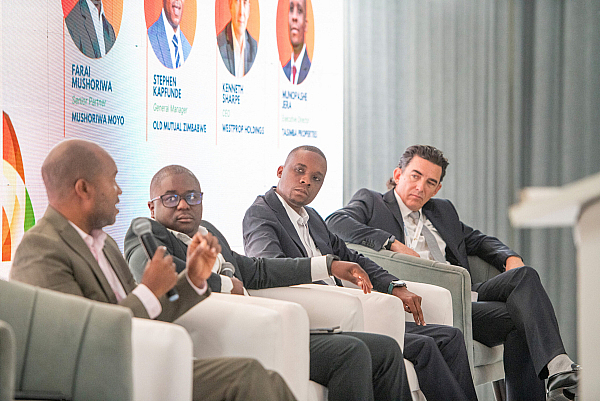 New forum links capital with pioneering market reforms in Zim
