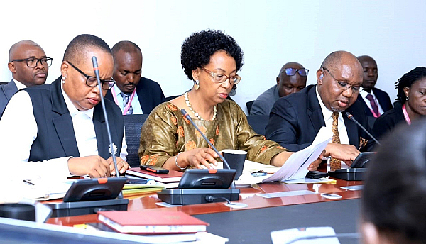 Uganda: Ministry seeks Shs308 bn for one stop-centre services