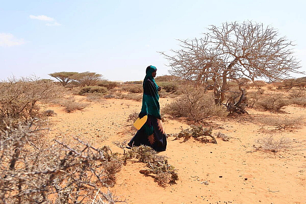 World Food Programme ramps up preparedness and response plans as El Niño threatens to push tens of millions into acute hunger