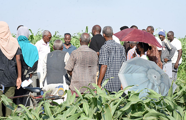 Eritrea: Training on implementation of small and productive farm plots