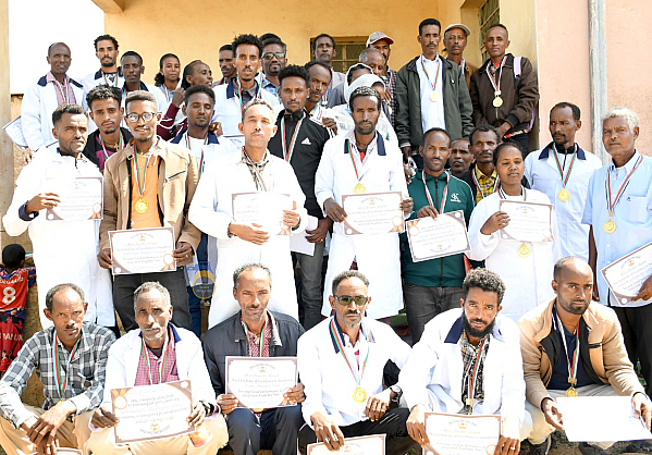 Eritrea: Recognition of exemplary teachers in Emni-Haili sub-zone